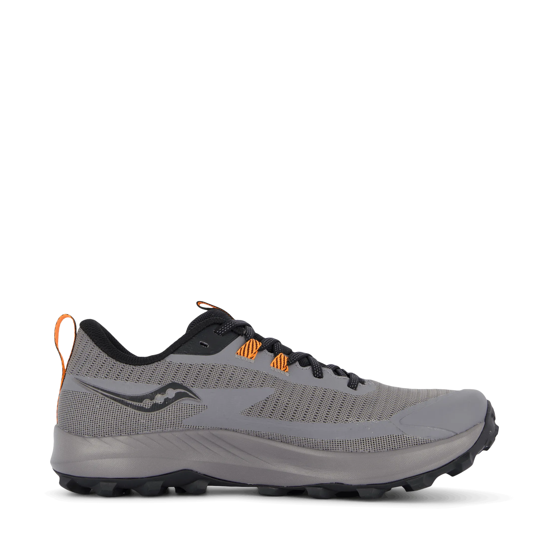 Peregrine 13 Gtx Gravel/black