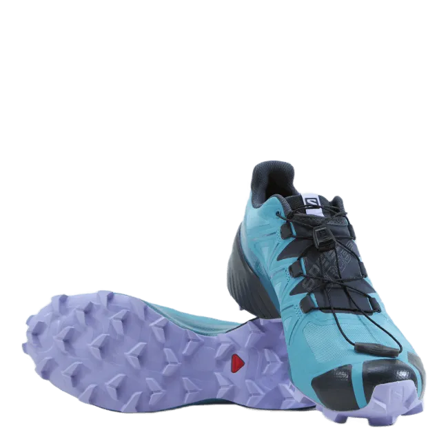 Speedcross 5 Gtx W Delphinium Blue/mallard Blue/l