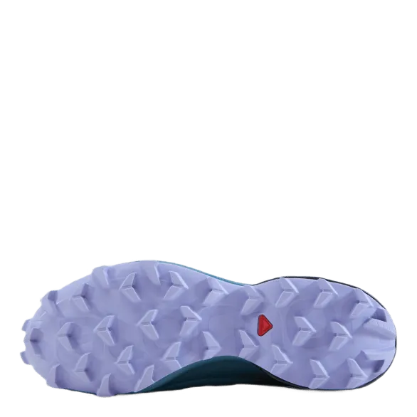Speedcross 5 Gtx W Delphinium Blue/mallard Blue/l